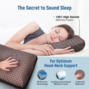 Memory Foam Pillow