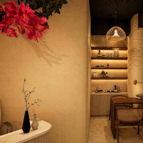 Dear Skin product display and treatment desk